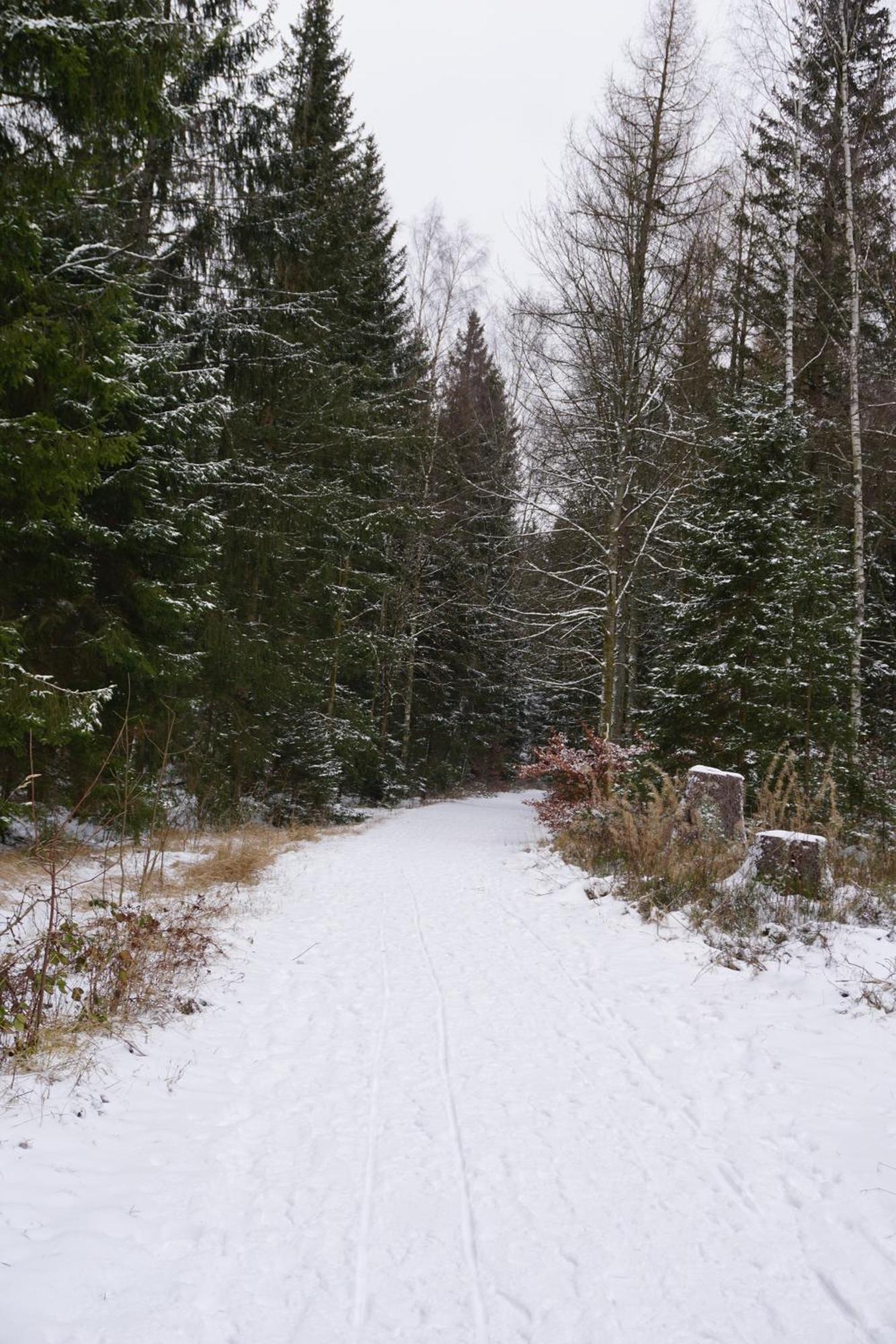 Muggelbude Im Harz Браунлаге Экстерьер фото